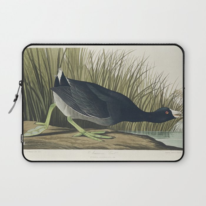 American Coot from Birds of America (1827) by John James Audubon Laptop Sleeve