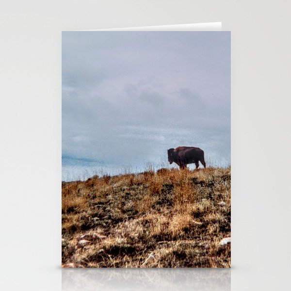 Bison Antelope Island Utah Landscape Color Stationery Cards