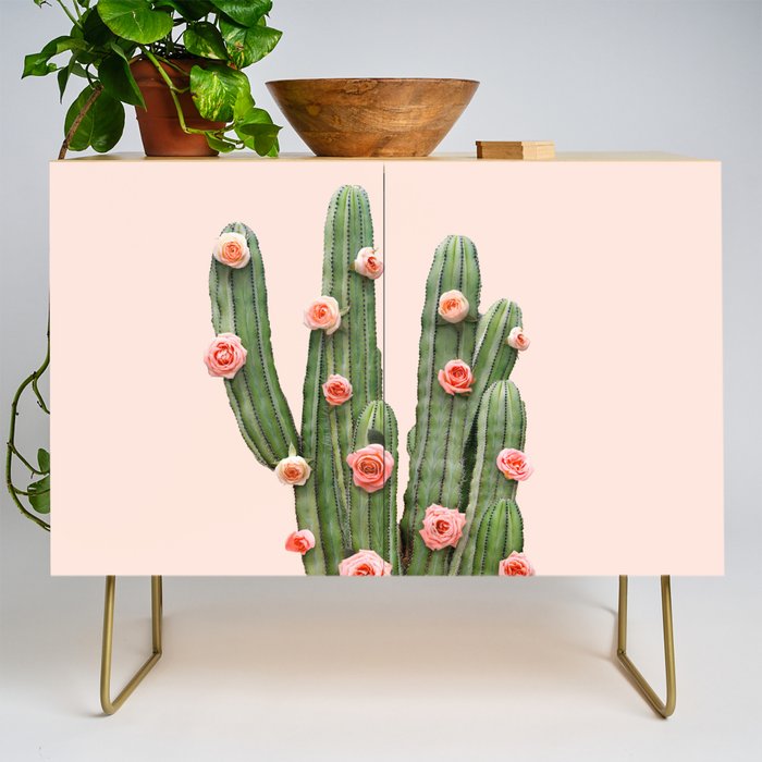 CACTUS AND ROSES