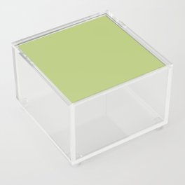 Medium Green Single Solid Color Coordinates with PPG Fern Glow PPG17-27 Color Crush Collection Acrylic Box
