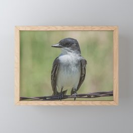 Eastern Kingbird Framed Mini Art Print