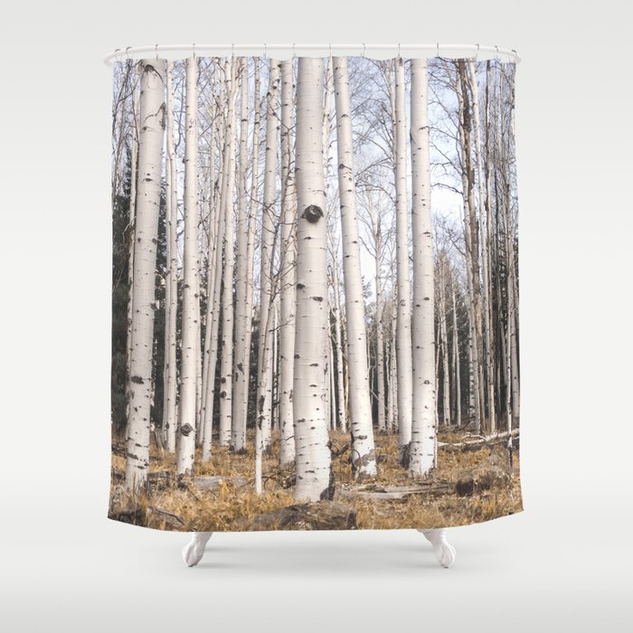 Tall Birch Forest Shower Curtain