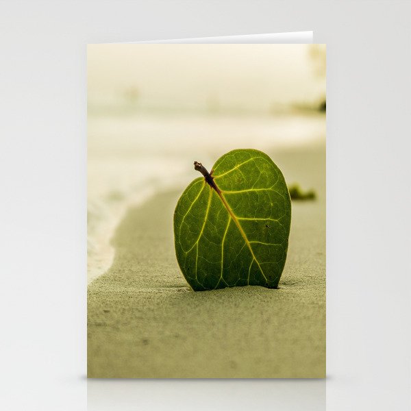 Sandy Beach With Green Leaf Stationery Cards