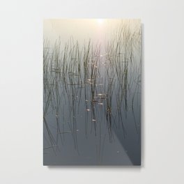 Shiny reflections Metal Print