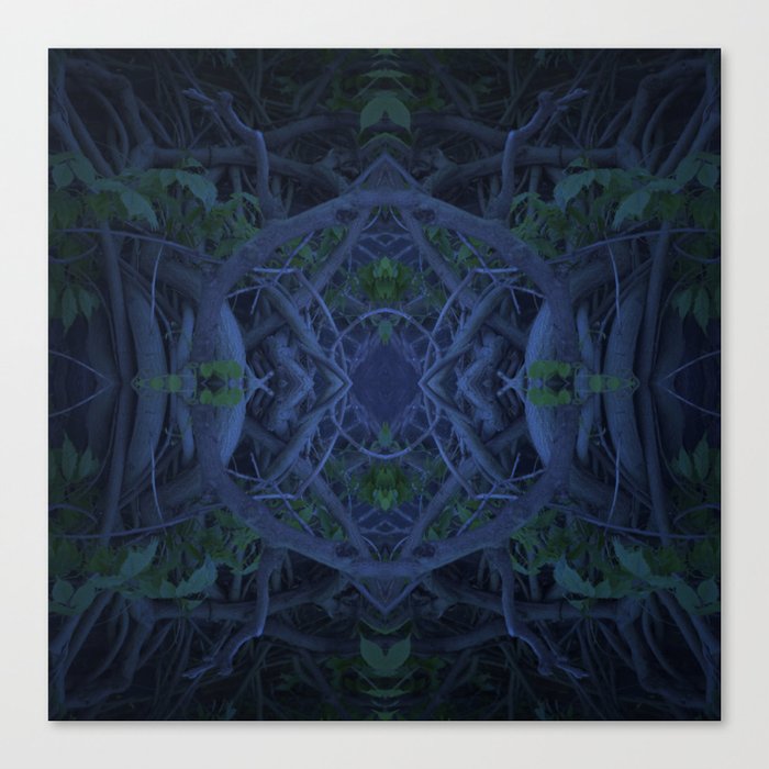 Enchanted Forest Canvas Print