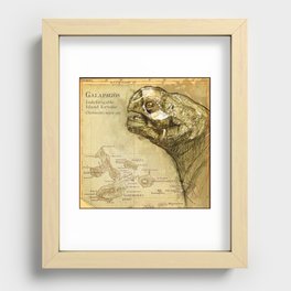 Galapagos Tortoise Recessed Framed Print