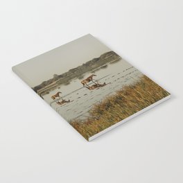 Wild Horse Family- DonAnna National Park Notebook