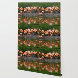 Flamingos Wallpaper For Any Decor Style Society6