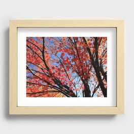 Autumn Leaves 2011 #3 Recessed Framed Print