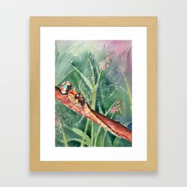 Dragonfly close-up Framed Art Print