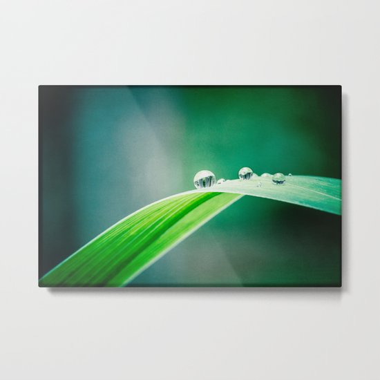 of green and blue Metal Print