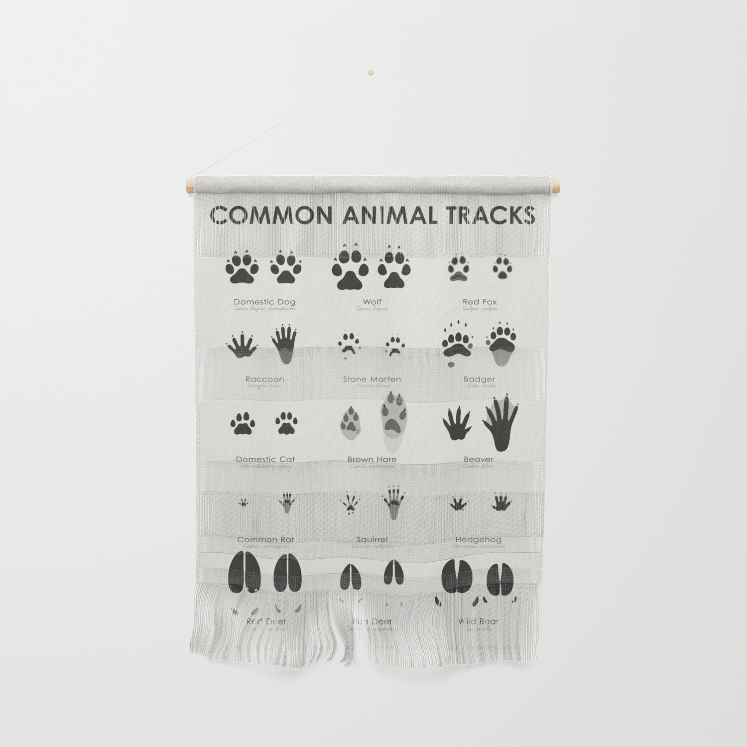 Animal Tracks (Hidden Tracks) Identification Chart Wall Hanging by Iris  Luckhaus | Society6
