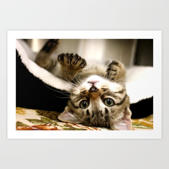 Greetings Art Print