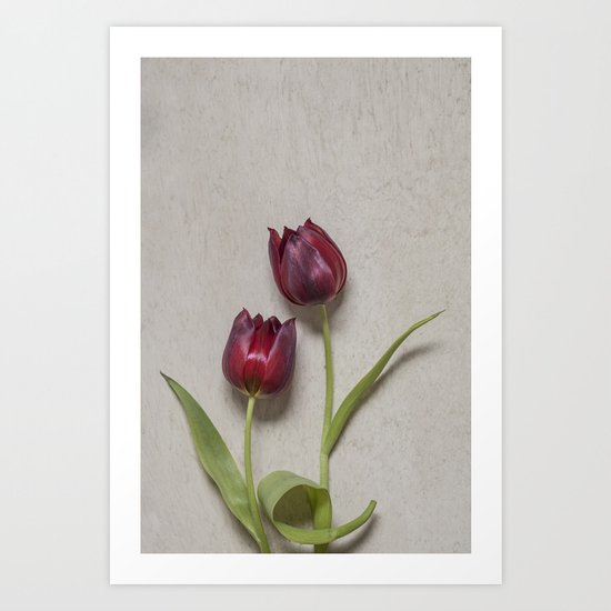 Two Red Tulips I Art Print