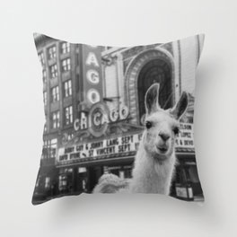 Chicago Llama Throw Pillow