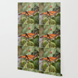 monarch butterfly perched Wallpaper
