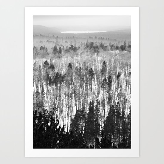 Algonquin Park in Winter, The Lookout Trail Art Print