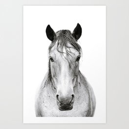 Horse I Art Print