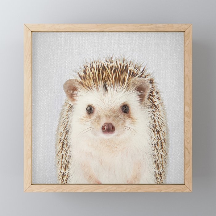 Hedgehog - Colorful Framed Mini Art Print