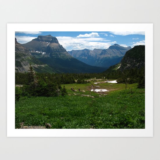 Nature's Bounty Art Print