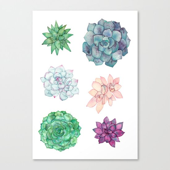 Succulents Canvas Print
