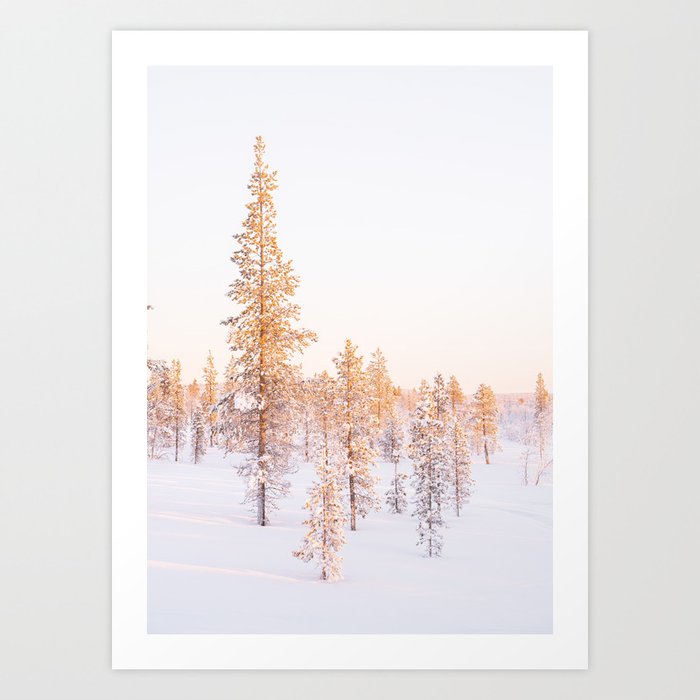 Pastel Color Sunset in Finland | Winter Snow Landscape in the Woods Art Print | Nature Photography Art Print