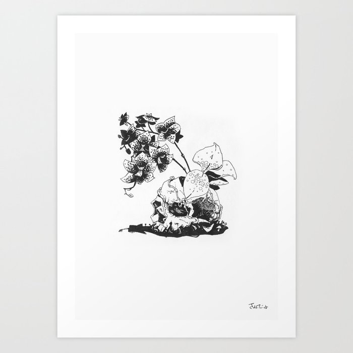 Skull and Orchids II Art Print