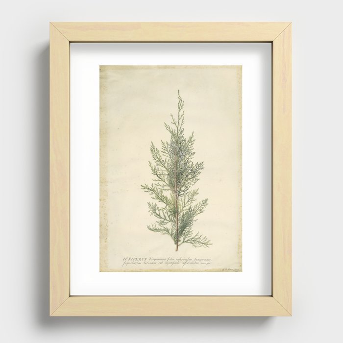 Recessed Framed Print