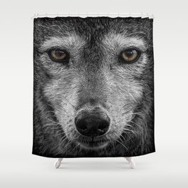 coyote Shower Curtain