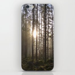 Scottish Pine Trees Sunray View in Afterglow  iPhone Skin