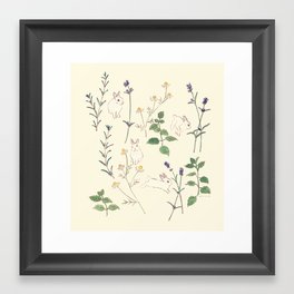 Rabbit who loves herbs Framed Art Print