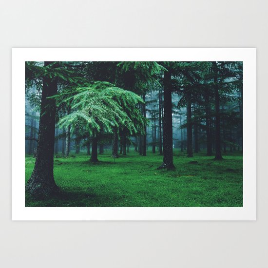 home of the wolves Art Print