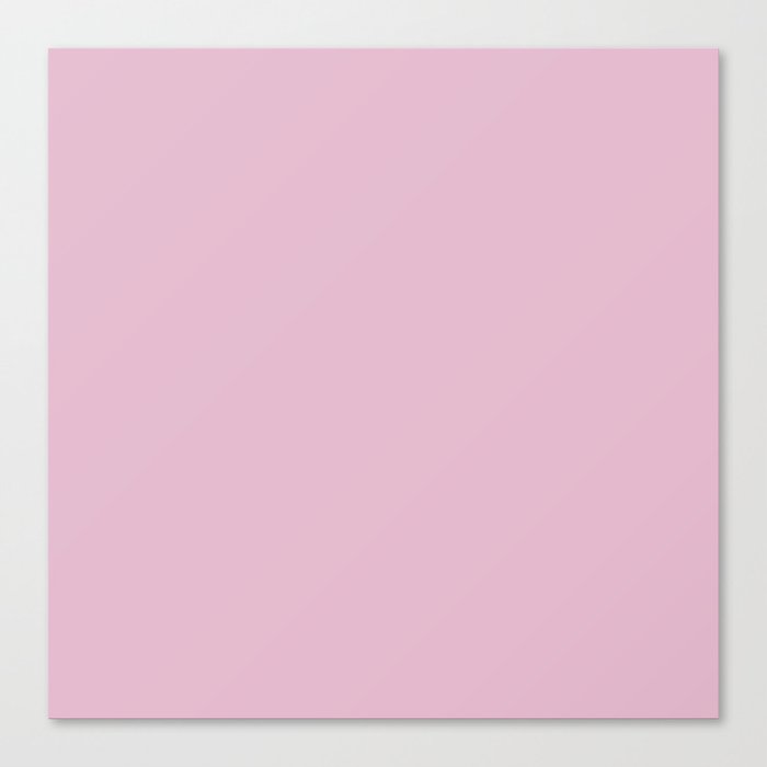 Pink Mist Canvas Print