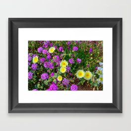 Desert Wildflowers - California Super Bloom Framed Art Print