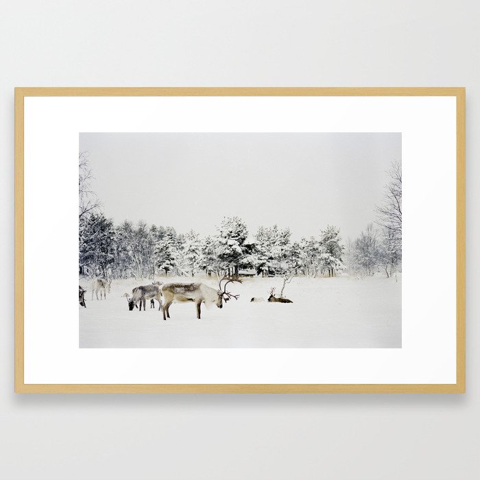Lapland Framed Art Print