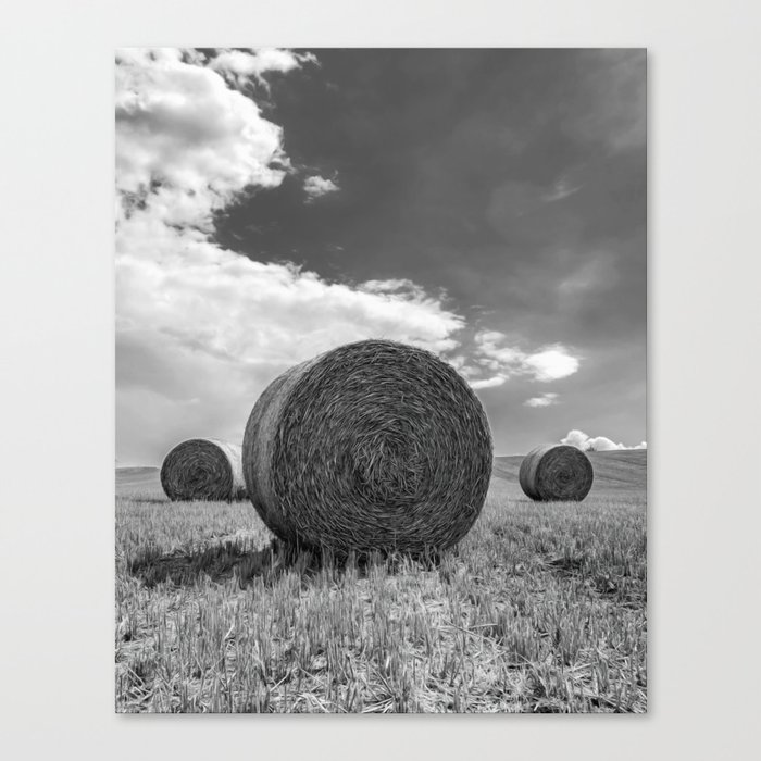 Bales of hay Canvas Print