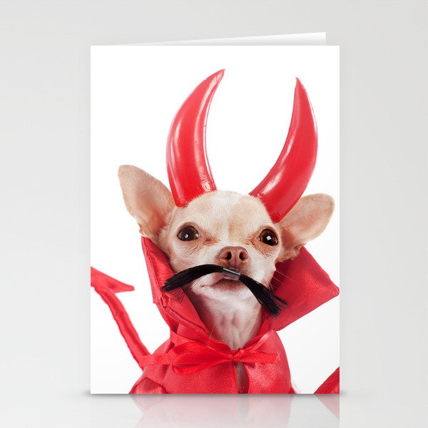 Devil chihuahua sale