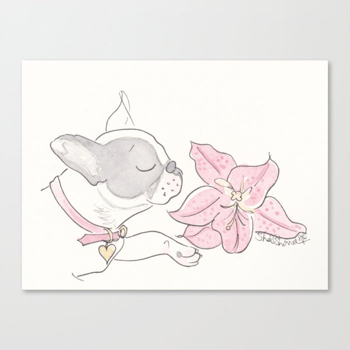Pretty French Bulldog and the Pink Lily Canvas Print