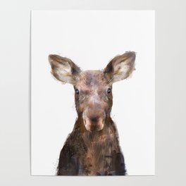 Little Moose Poster