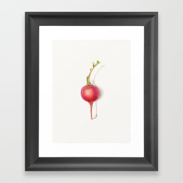 Beautiful Radish Vegetable Framed Art Print