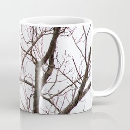 Bald Eagle Coffee Mug