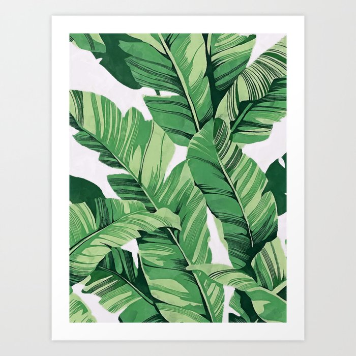 Tropical banana leaves V Art Print
