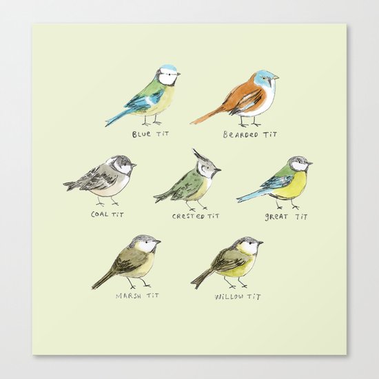 The Tit Family Canvas Print