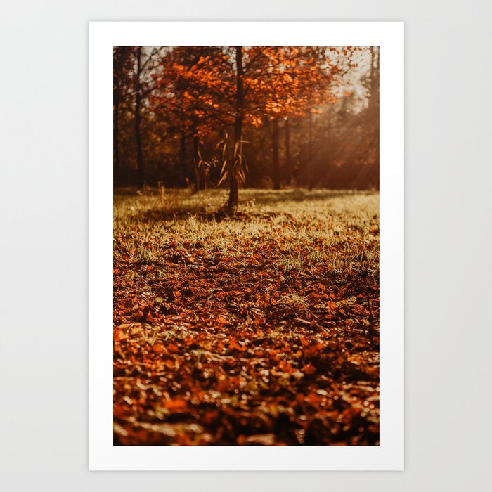 Fall Colors | Fine Art Travel Photography Art Print