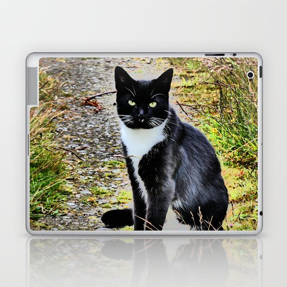 Friendly Cat of the Scottish Highlands in I Art Laptop & iPad Skin