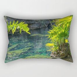 Mexico Photography - Beautiful Oasis In The Mexican Nature Rectangular Pillow