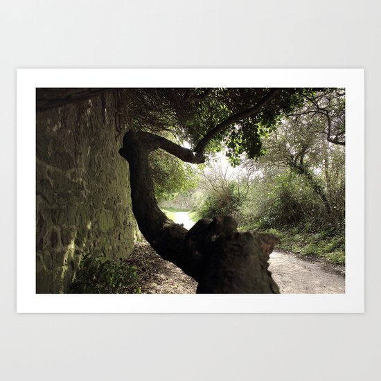 The strange trees Art Print