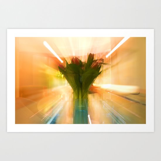 Flowers of Holland Art Print