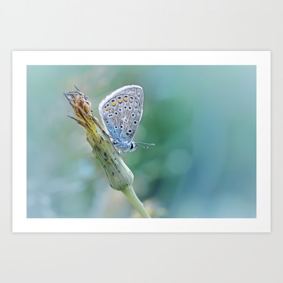 Free your mind.... Art Print