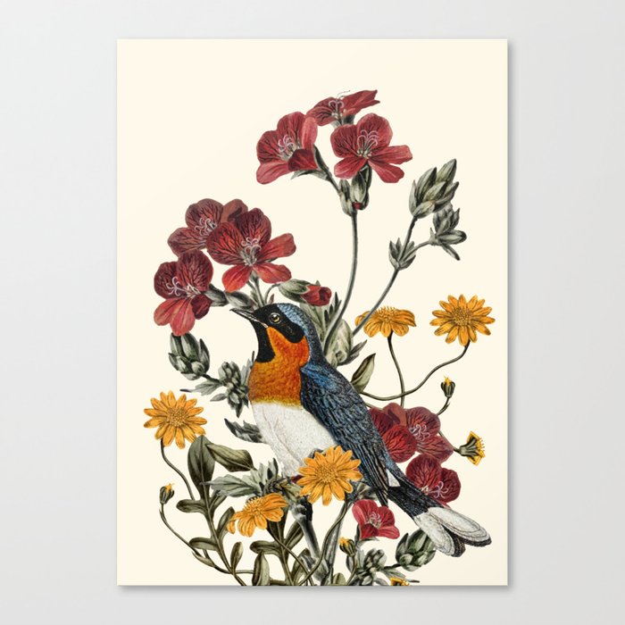 Little Bird and Flowers Canvas Print